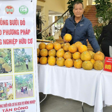 Bưởi đỏ Tân Lạc