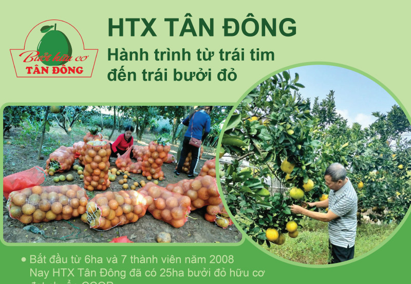 Câu chuyện địa phương HTX Tân Đông