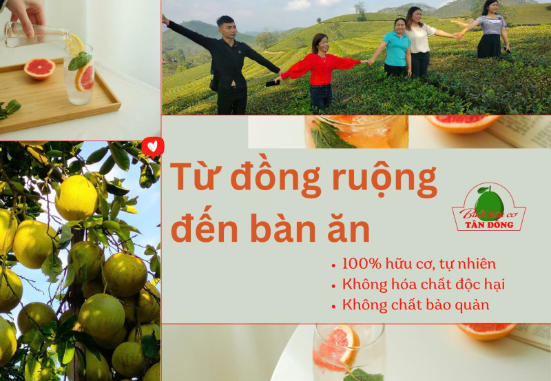 Hậu trường sản xuất – “Từ đồng ruộng tới bàn ăn”