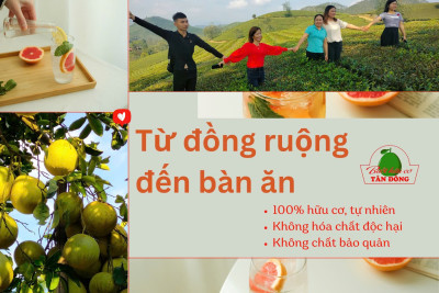 Hậu trường sản xuất – “Từ đồng ruộng tới bàn ăn”