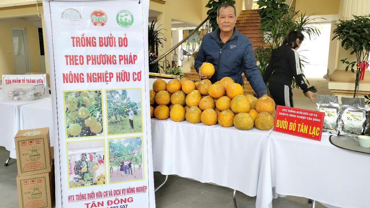Giới thiệu sản phẩm