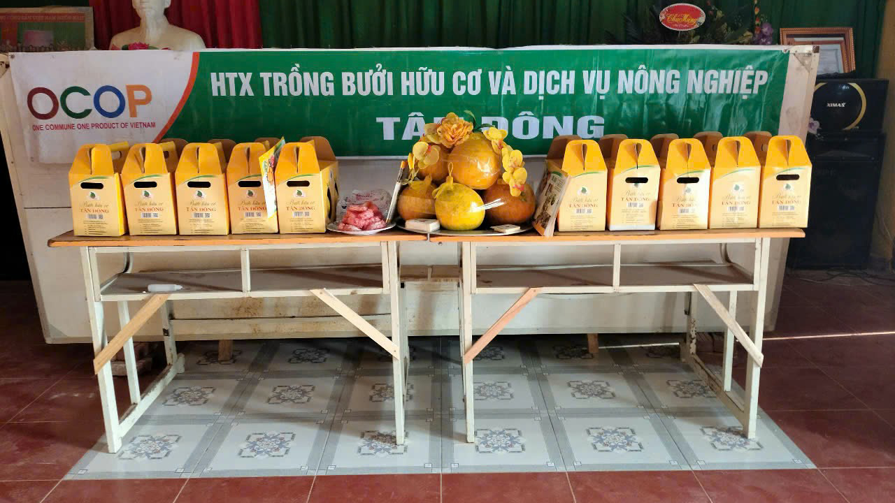 Giới thiệu sản phẩm