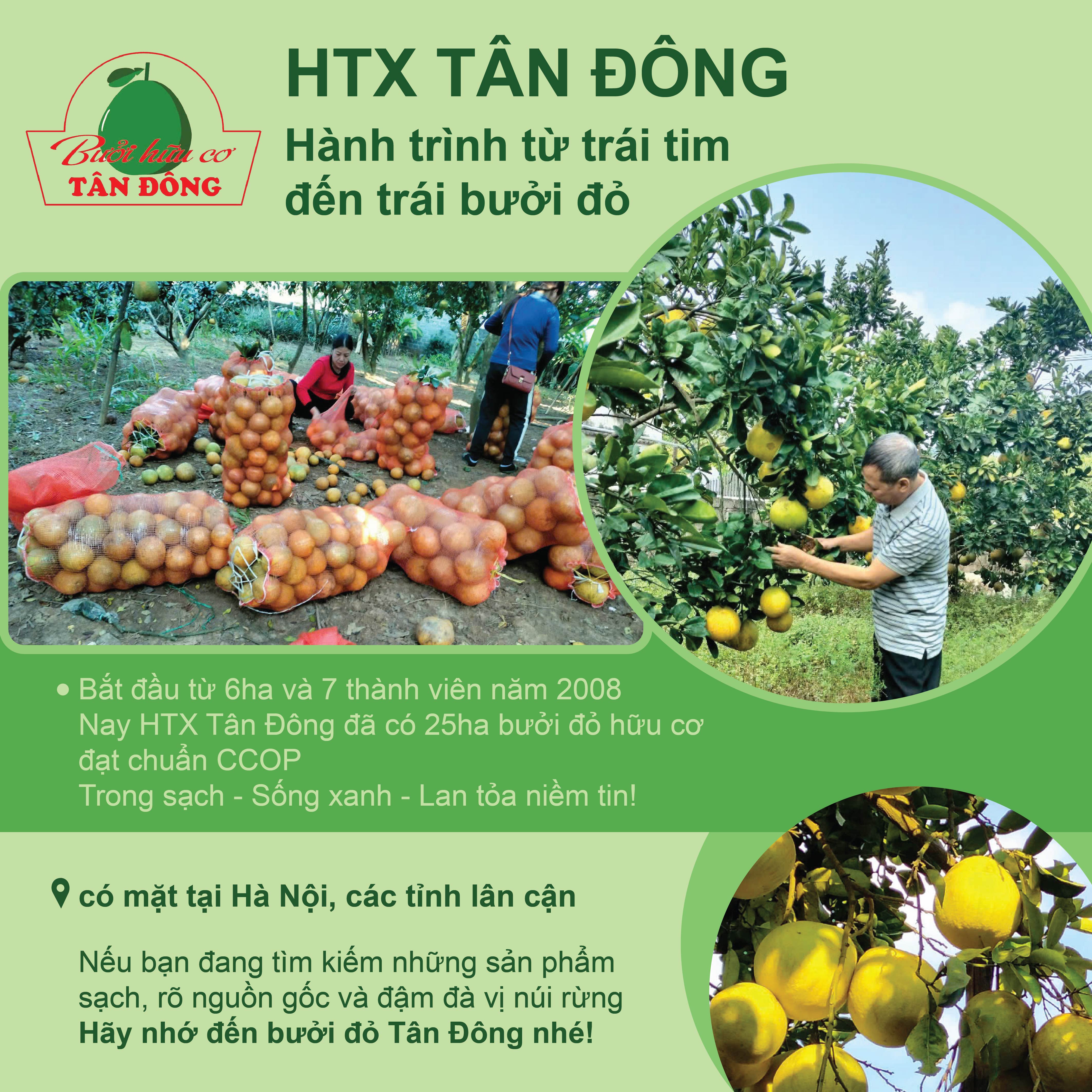 htxtandong