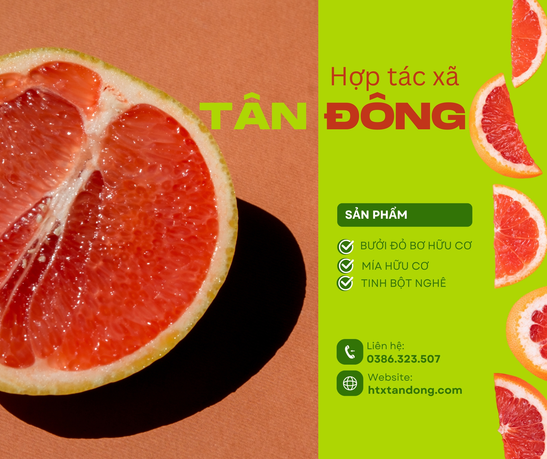 htxtandong